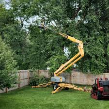 Fort Wright, KY  Tree Services Company